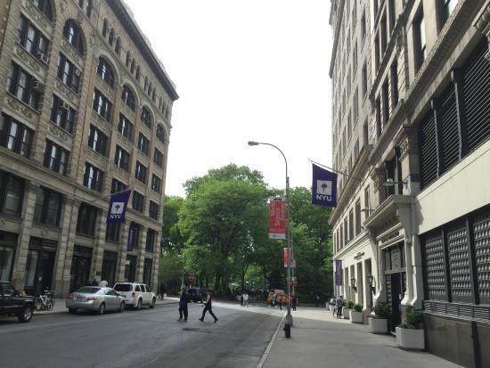 New York University
